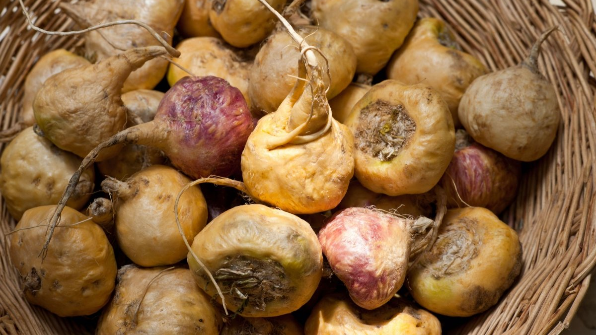 Reduce el estr&eacute;s y aumenta la libido sexual: el s&uacute;per alimento que ten&eacute;s que conocer