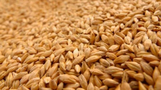 PBA: crean el Banco para Abastecimiento de Insumos Agropecuarios