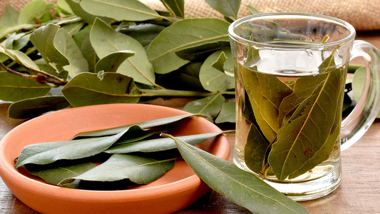 5 beneficios del motivo por el que recomiendan tomar té de laurel