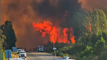 Fuego en El Bolsón: hay alerta de evacuación en varias zonas habitadas y el viento complica a los bomberos