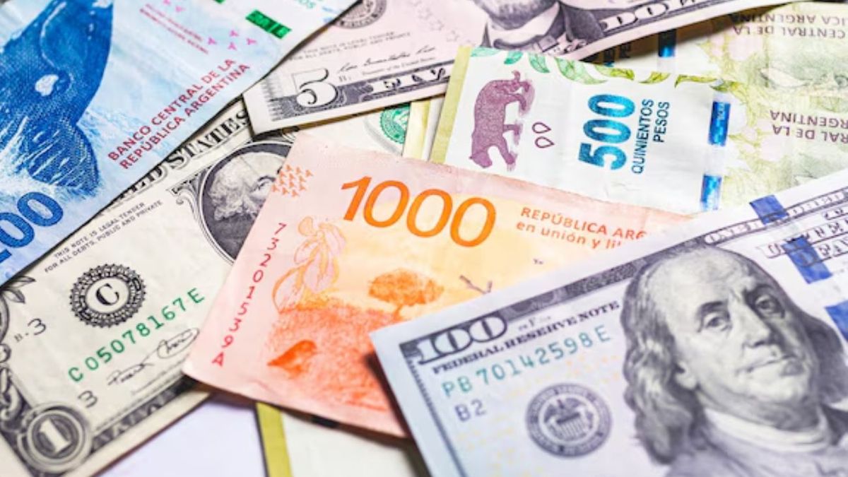 Buscá este billete en tu casa porque tenés un tesoro que vale hasta 20 mil dólares. (Foto: Freepik)