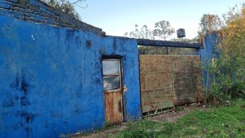 Un vecino saltó el muro por un olor extraño y encontró una escena aterradora dentro de la casa