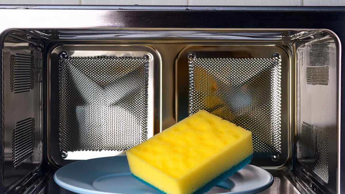 Calentar la esponja dentro del microondas: por qué recomiendan hacerlo y qué previene