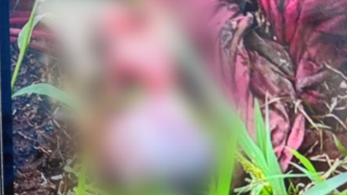 Fue encontrado entre bolsas de basura, a metros de la estaci&oacute;n Sol y Verde.&nbsp;