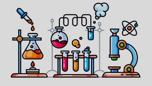 Pasos del método científico: ¿Cuáles son?