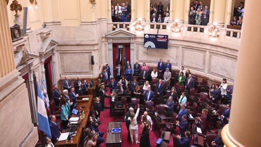 Renovación del Senado: todos los detalles y la interna en la jura de los 23 legisladores electos