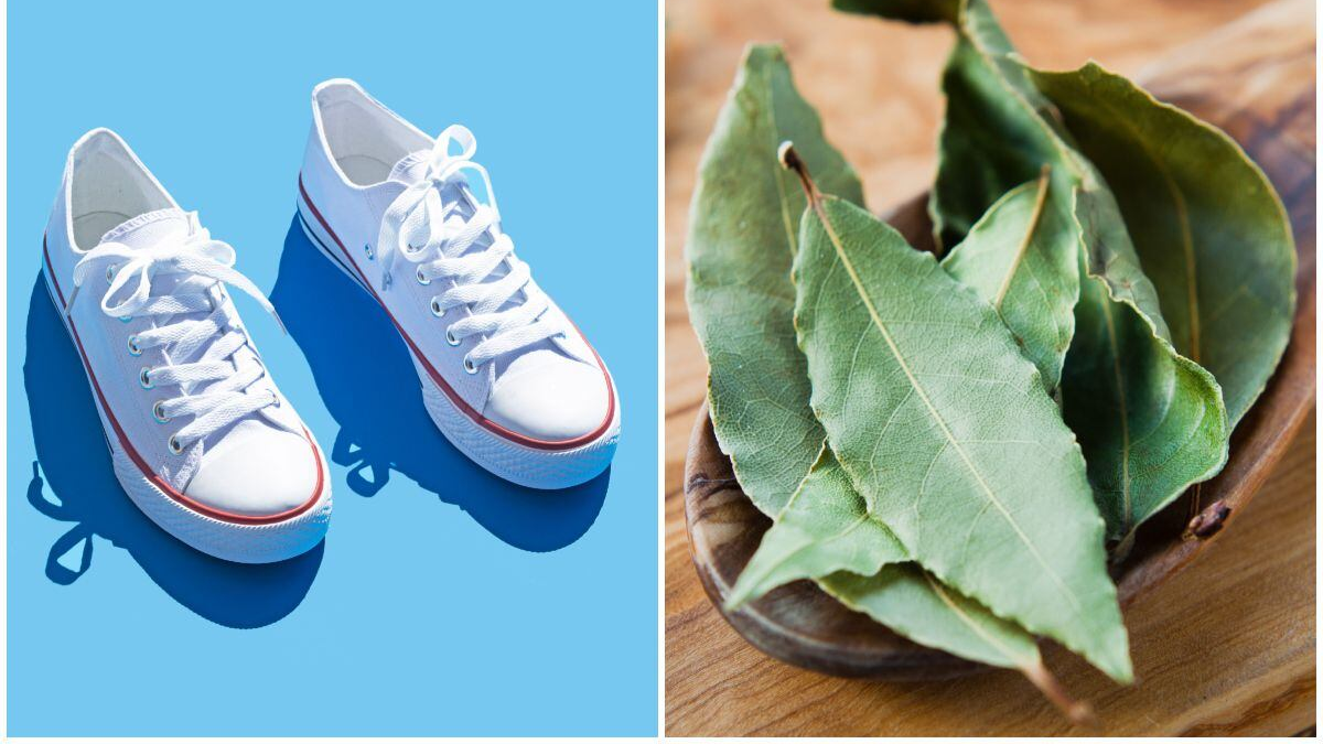 Por qué usar una hoja de laurel en el zapato