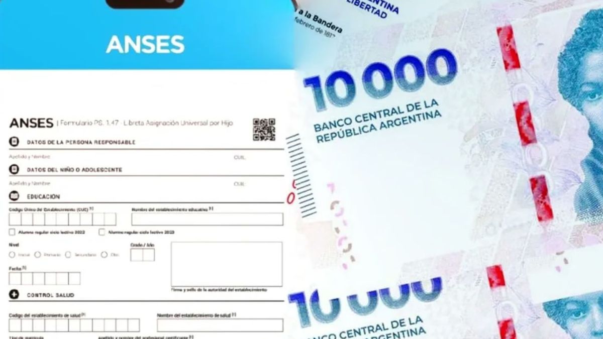 Nuevo sistema de ANSES para cobrar el acumulado de la AUH: cómo es el cruce directo con Salud y Educación
