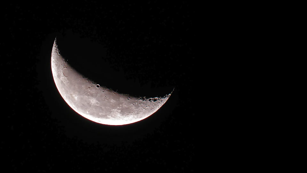 Luna Cuarto Creciente en Capricornio: ordenar también es quererte. Foto: Internet.
