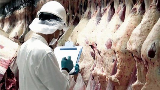 El Gobierno prorrogó por dos meses los cupos de exportación de carne y asegura que es una medida indispensable