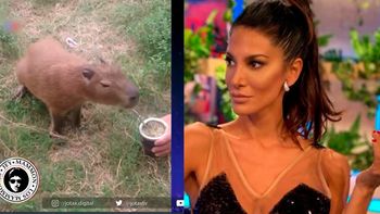Silvina Escudero pensó que tenía apagado el micrófono y puteó a los que se burlan de los carpinchos
