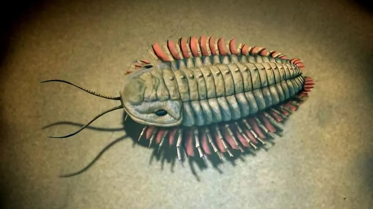 Innovador descubrimiento de hace 400 millones de a&ntilde;os que intrig&oacute; a los cient&iacute;ficos