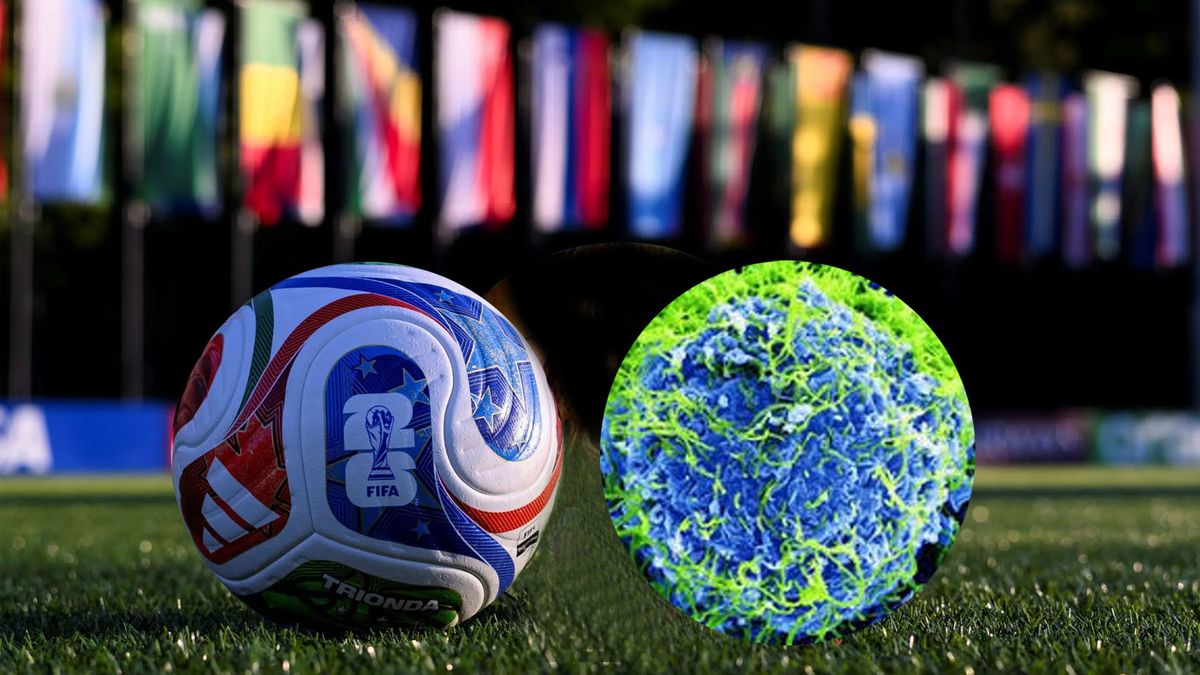Alerta mundial por un país que jugará su primera copa en medio de un brote de una enfermedad sin cura. (Foto: A24.com)