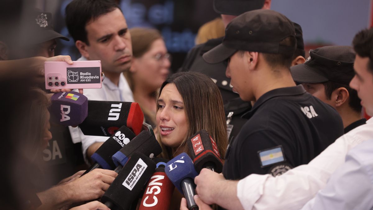 Llegó a la Argentina la abogada que estuvo casi tres meses con prisión domiciliaria en Brasil acusada de racismo.