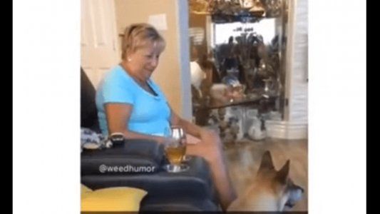La reacción de una abuela que se comió los brownies locos de su nieto