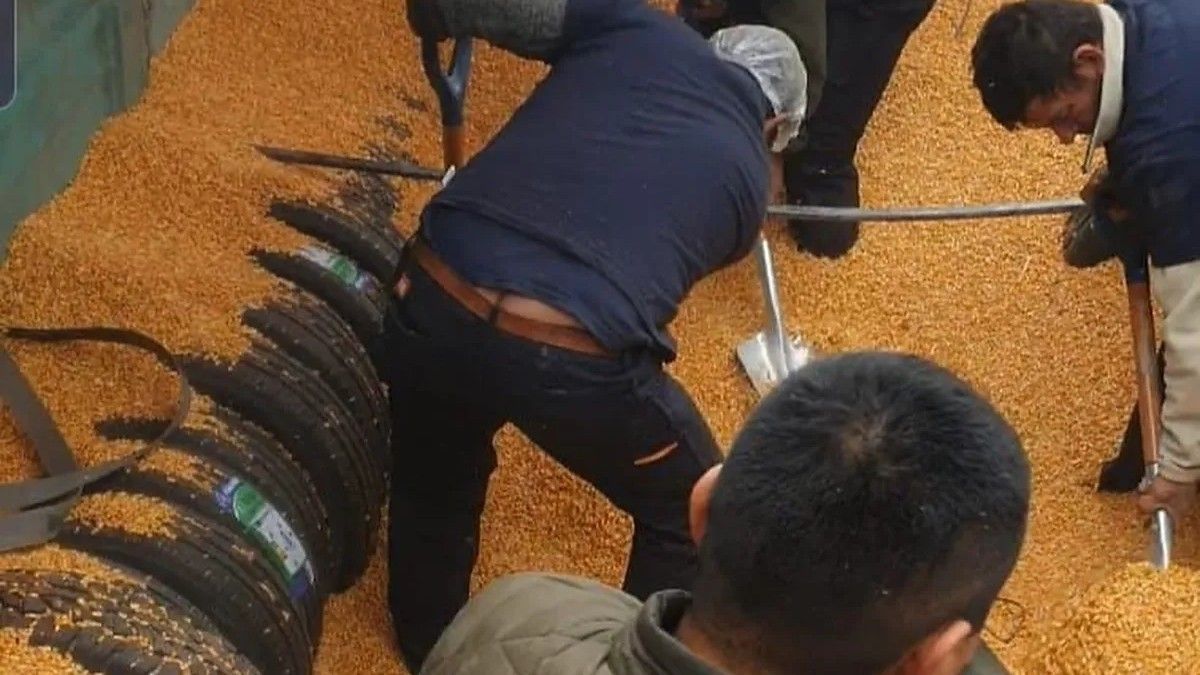 El cargamento estaba oculto en un camión de cereales. (Foto: AFIP-Aduana)