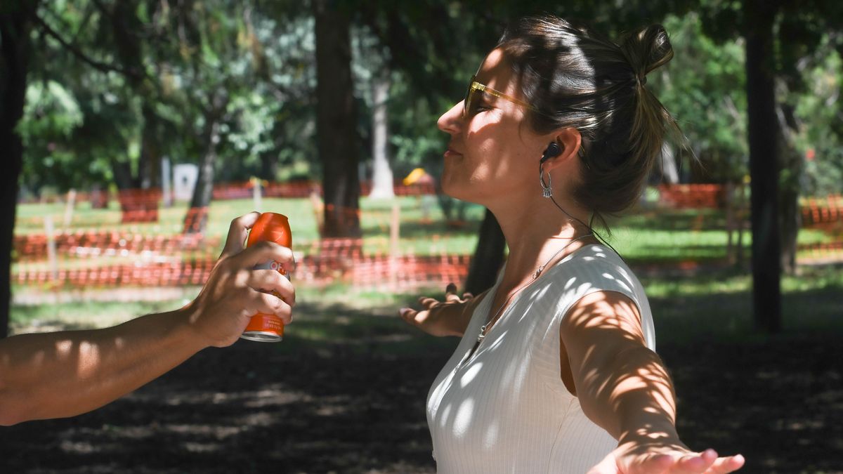 Invasión de mosquitos y la peor noticia: ¿Hasta qué día van a seguir molestando?