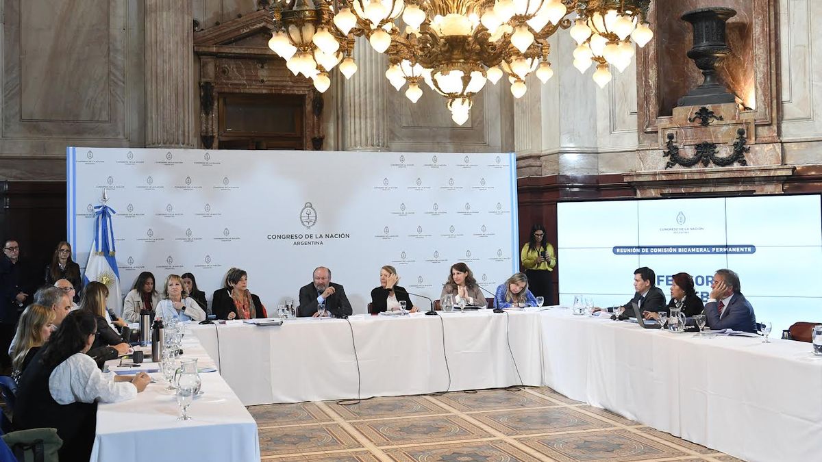 La Comisión Bicameral de la Defensoría del Pueblo deberá elaborar un dictamen.