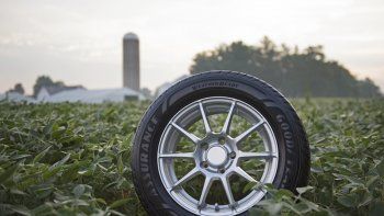 Goodyear y la adquisición sostenible de soja para neumáticos