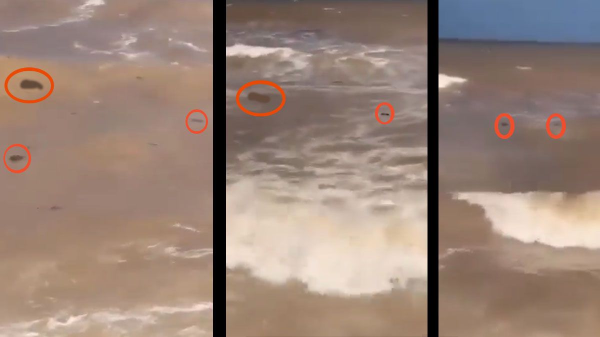 El mediterráneo devuelve cadáveres a la costa en Libia. (Foto: Captura de TV)