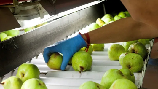 Las exportaciones de peras subieron 16% en lo que va de 2023