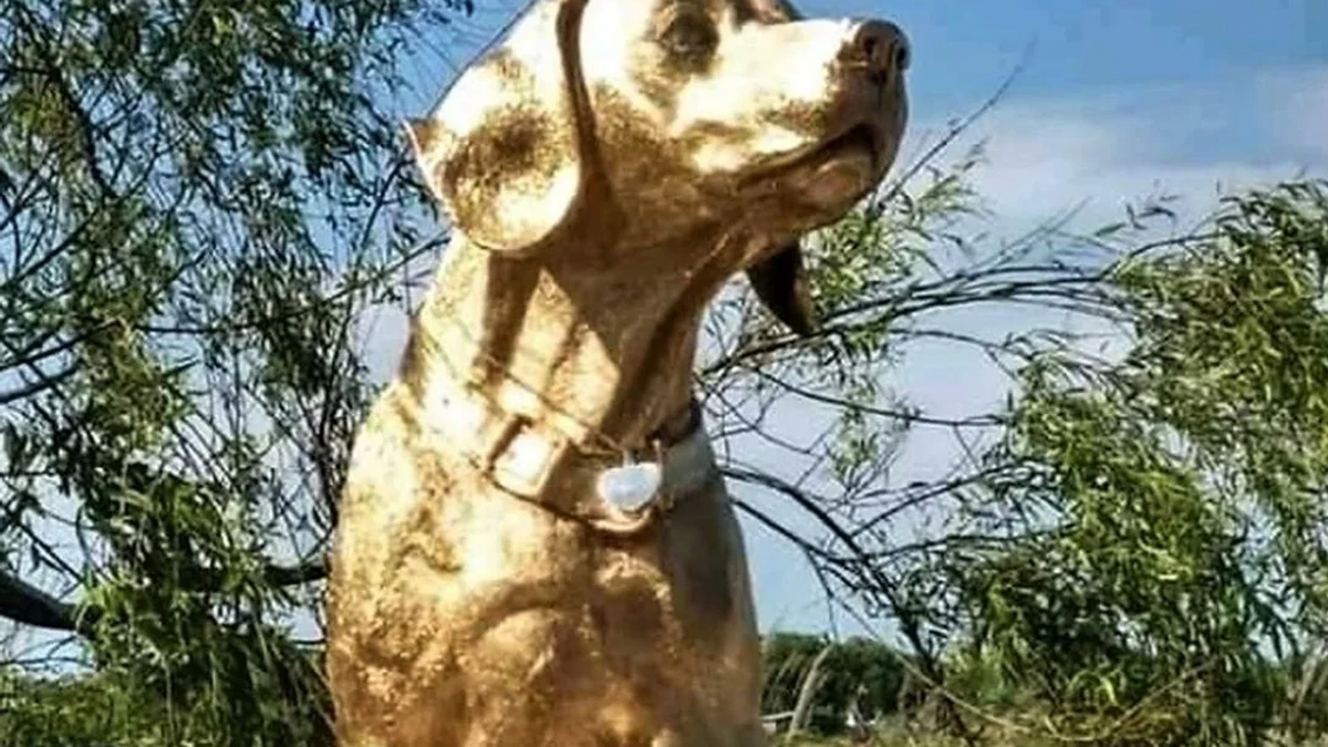Monumento que le hicieron los vecinos a Rubio un perro que fue asesinado por un hombre en una camioneta