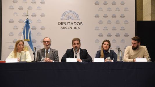 El PRO presentó el proyecto Ficha Limpia: ¿qué condición deberán cumplir los candidatos para ocupar cargos públicos?