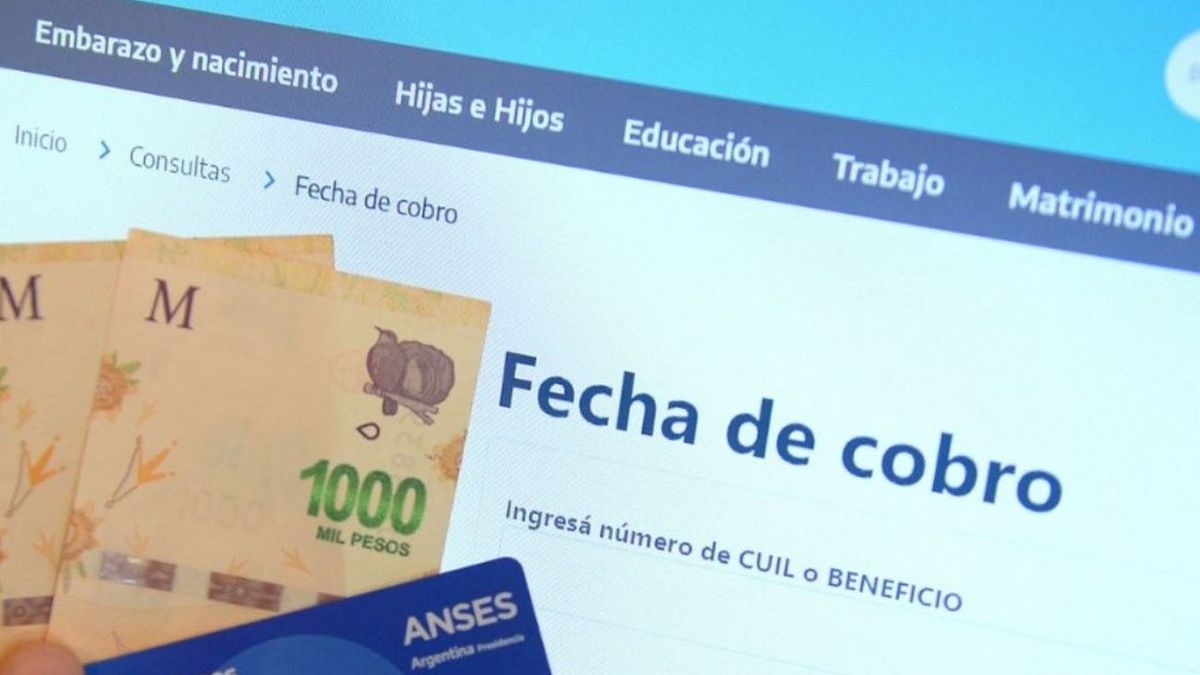 ANSES dará un extra de $ 300.000 en septiembre: cómo solicitarlo (Foto: archivo)