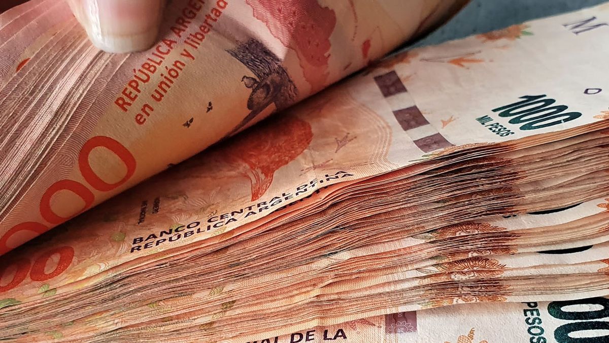 El Banco Central confirmó la NUEVA tasa de interés para el plazo fijo: cómo ganar $100 mil por mes (Foto: archivo).