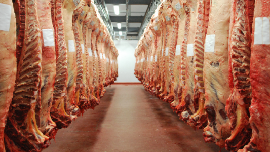 ¿Qué pasará con el precio de la carne en los mercados exportadores?