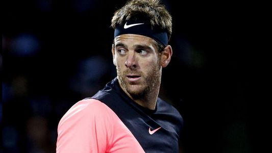 El duro momento de Juan Martín del Potro: murió su papá
