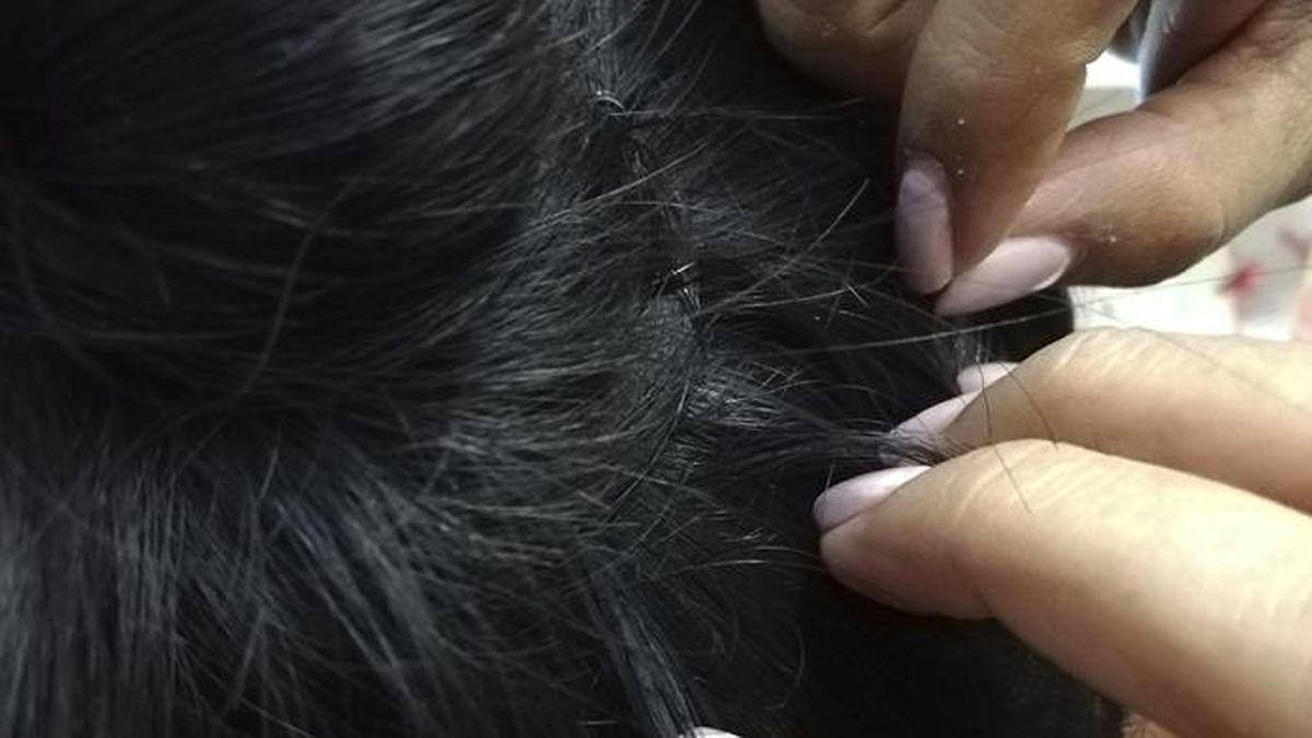 Los piojos no esperan: un método seguro y sin químicos potentes ayuda a mantenerlos bajo control