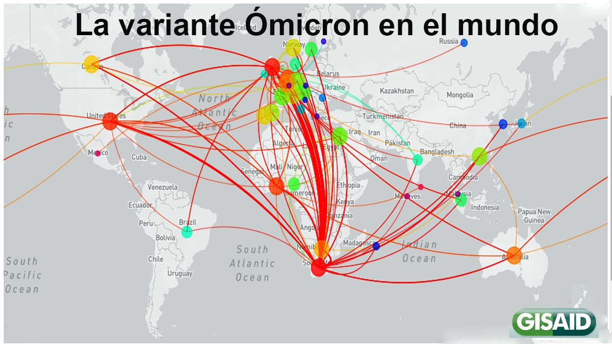 Cómo se dispersó Ómicron por el mundo en un tiempo récord (Foto: GISAID)