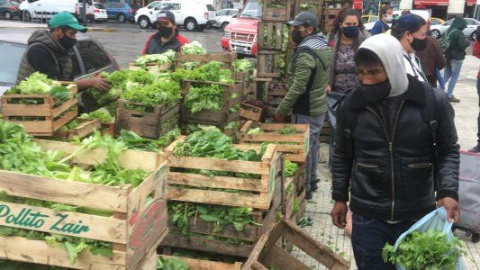Con aval de Massa y Máximo Kirchner, presentan un proyecto de Acceso a la Tierra para darles a pequeños productores accesos a parcelas
