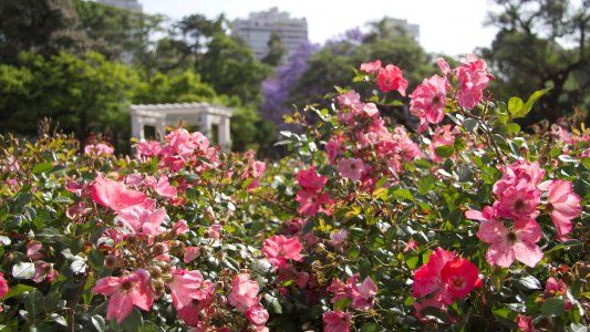 Equinoccio de Primavera 2019. ¿Qué es y cuándo ocurre?