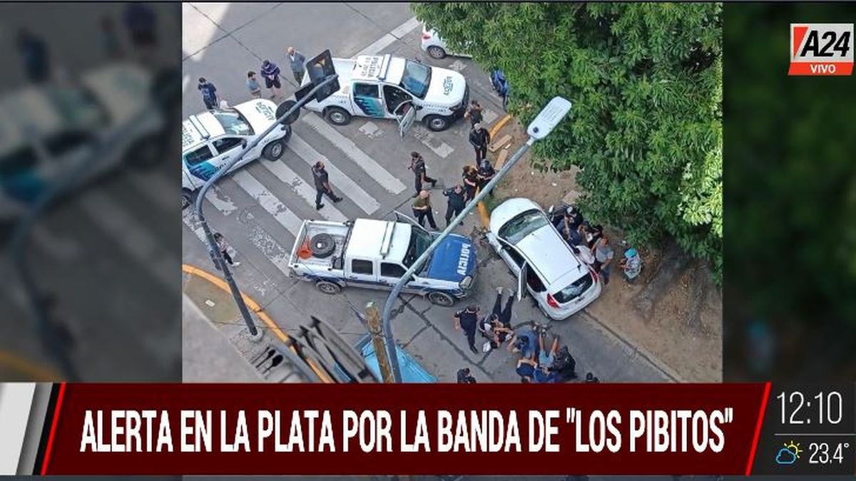 La Plata: cayeron 6 integrantes de la banda de los pibitos. (Captura de Tv)