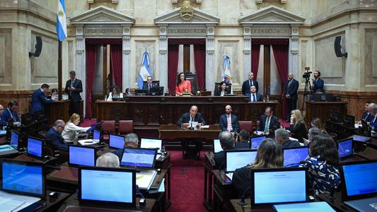 Ficha Limpia: el Senado pospuso su tratamiento por la coincidencia con la marcha de la CGT