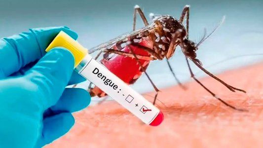 Dengue: por cuarta semana consecutiva se registró un descenso en la curva de casos