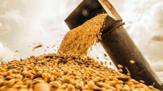 El precio internacional de la soja quedó a un paso del récord histórico