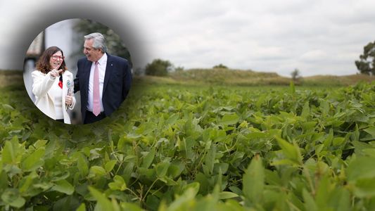 La visión del campo sobre Silvina Batakis: qué impuestos creó durante su paso por la gobernación de Scioli