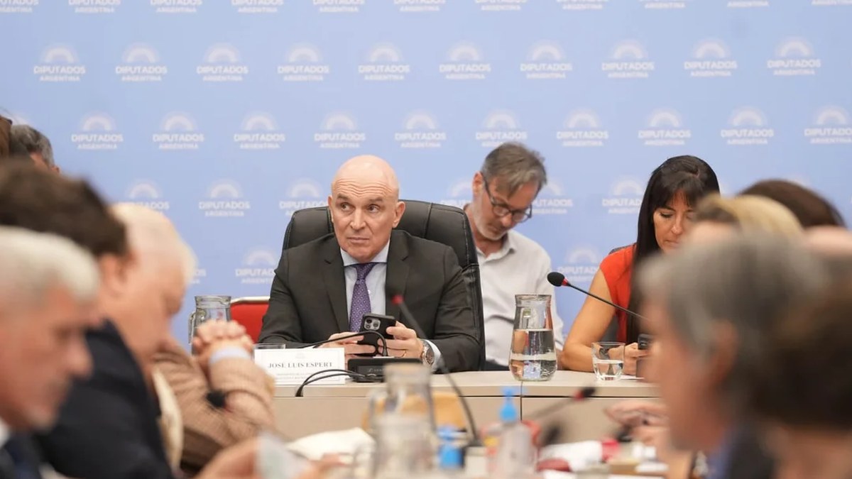 Diputados trato la privatización de Aerolíneas Argentinas. (Foto: NA)