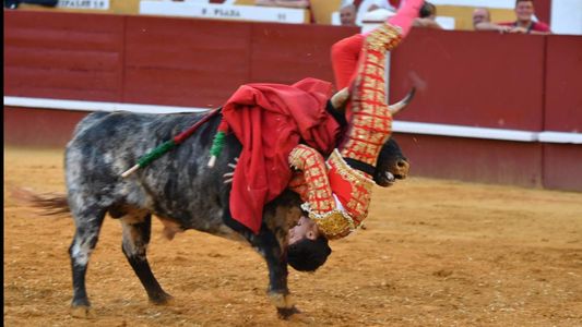El toro le ganó al torero: el video de la brutal cornada que conmueve a España
