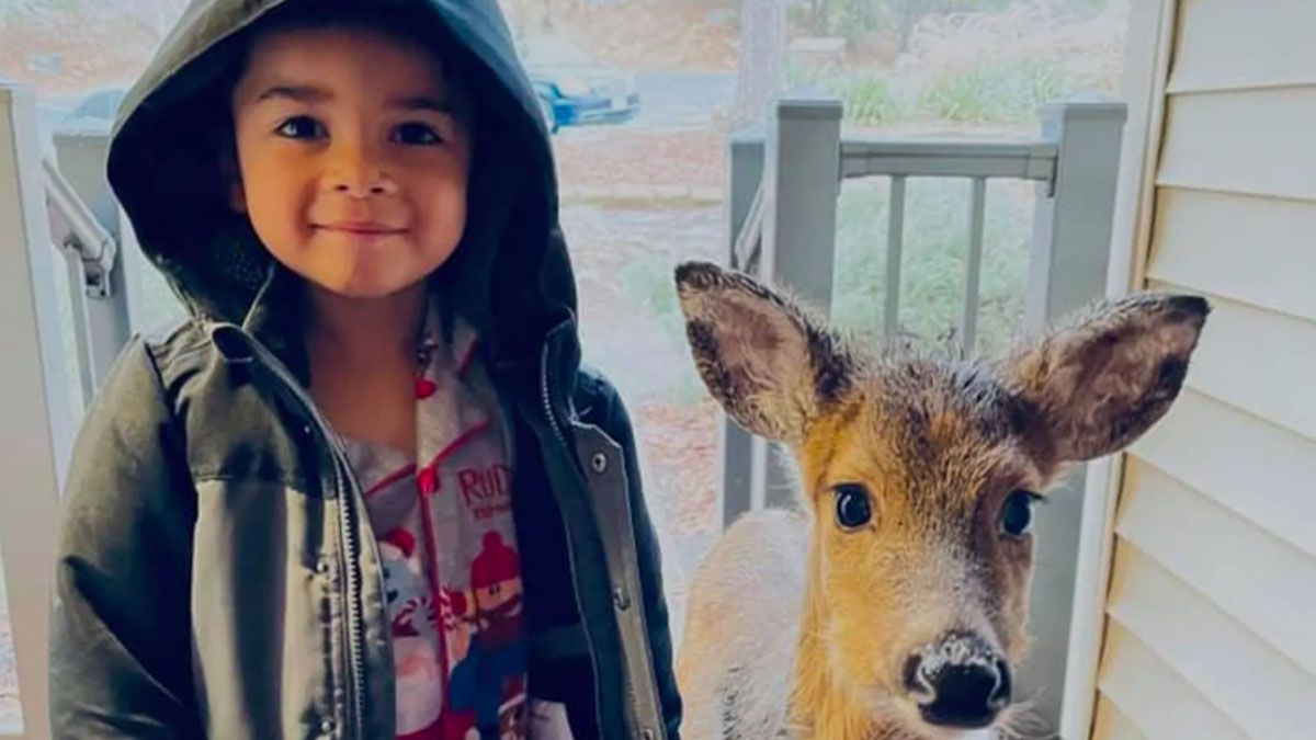 Un niño apareció en su casa de vacaciones con un ciervo y la madre no dudó en tomar una foto.