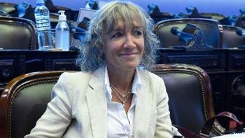 Una diputada difundió un billete de mil pesos, creyó que Chile ocupaba la Patagonia y despertó indignación en las redes