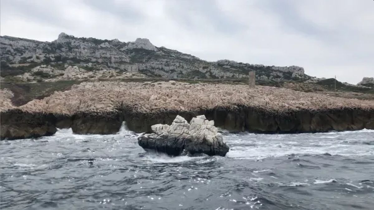 Julien construyó el barco rocoso como parte de una residencia organizada por el artista Thomas Mailaender para los hoteles TUBA Club.
