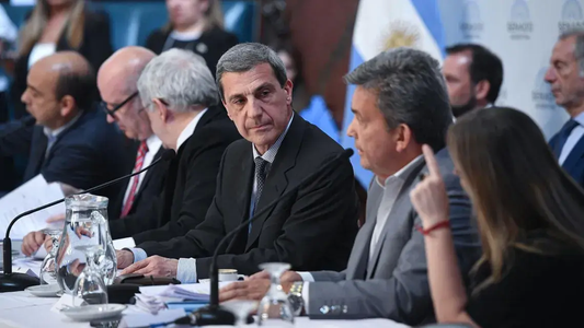 Ganancias: el Senado comenzará a tratar la ley tras la aprobación en Diputados