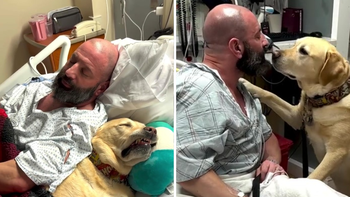 El perro se llama Magnus y acompaña todos los días a su dueño internado en un hospital
