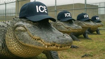 Los caimanes de la Florida, los futuros guardias de una prisión para inmigrantes ilegales. (Foto: Gentileza American Community)