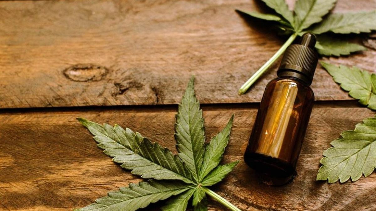 El Senado dio media sanción a la ley para el desarrollo del cannabis medicinal