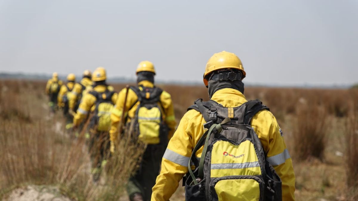 Incendios en Corrientes: Se quemó el 4% del territorio provincial.